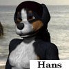 Hans/Hannah Animated Icon by FoxyFemme