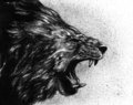 The Roar by Dbruin