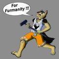BLFC Arts and Rules