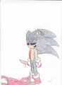 Sonic.exe funny hobby by Daneben