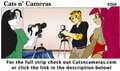 Cats n Cameras Strip #268 - Your Oscar consideration please!