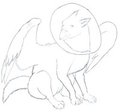 Bashful Gryphon