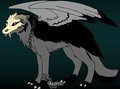 Skully. (As a wolf) by PrincessSnow