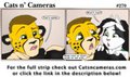 Cats n Cameras Strip #270 - Sudden lens flair