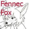 Chels the Fennec
