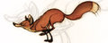Run Fox Run