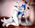 Be my sweet Valentine ^.^ by ThunderSnugglepup