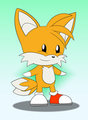 Tails chib