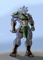 Shiyou profile -armor