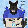 Follow me on Twitter!!!