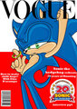 Sonic Vogue Issue