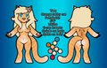 Tam ref by foreveranonymous