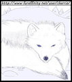 Arctic Fox, Practice Sketch by Charrio