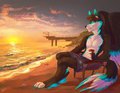 West Australian Sunsets by Animosus