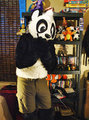 My fursuit. by pandapaco