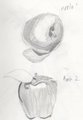 Apple Sketchs