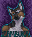 Zambuka Badge