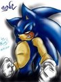 Sonic with Sai!! by Mimy92Sonadow