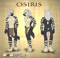 Osiris ref sheet by hyenafur