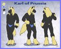 Repost: Karl of Prussia by hyenafur