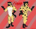 Tinus/NavyHyena ref sheet