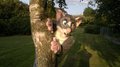 Peeking from behind a tree... by Rattie