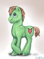 Pony Commission