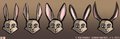 Johnny Rabbit Head Designs