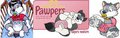 Pawpers diaper tapes by Loupy