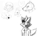 Foxy in drawpile group
