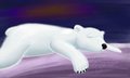 Polar Bear by Seigaku