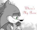 Where's My Rose- cover