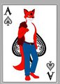Ace the fox