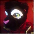 Dont google your furself " vine" by TSOL