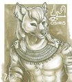 Old Art Repost: Osiris badge