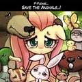 Save The Animals!