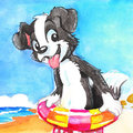 Roni on the beach by pandapaco