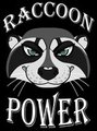 Raccoon Power