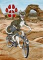 Husky Dog On Schwinn Bicycle At Arches National Park