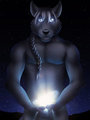 The Wolf - Birthday Gift for Tristan Black Wolf