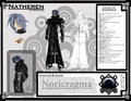 Natheren Character Ref Sheet (Old) by BYXIES