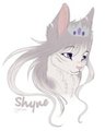 Shyne by Shyne