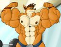 Commission - "Crash-ing" at the Gym (Happy Crash Bandicoot Day)