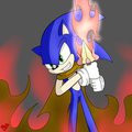 My first Sonic pic