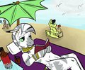 Relaxing at the Beach
