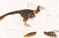 Dowie Pyroraptor by Angiebirds