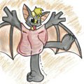 Jack the Pied Bat