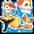 Pokemon XY new - Fennekin and...its evolution