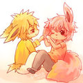  flareon & Jolteon