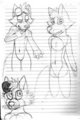 Some Foxy sketches